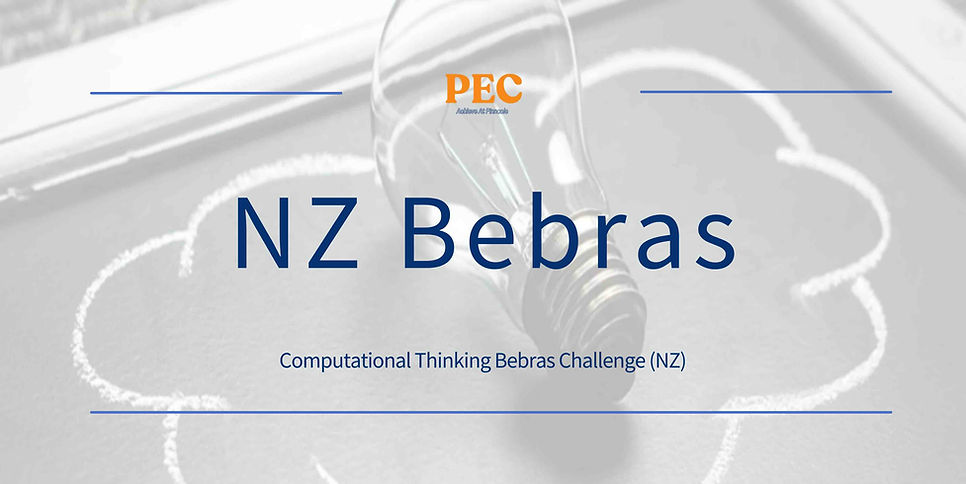 Bebras NZ.jpg
