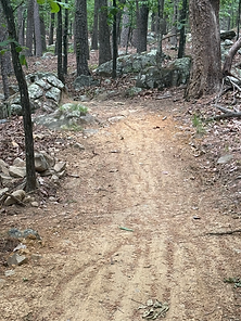 Coachwhip Trail 1.HEIC