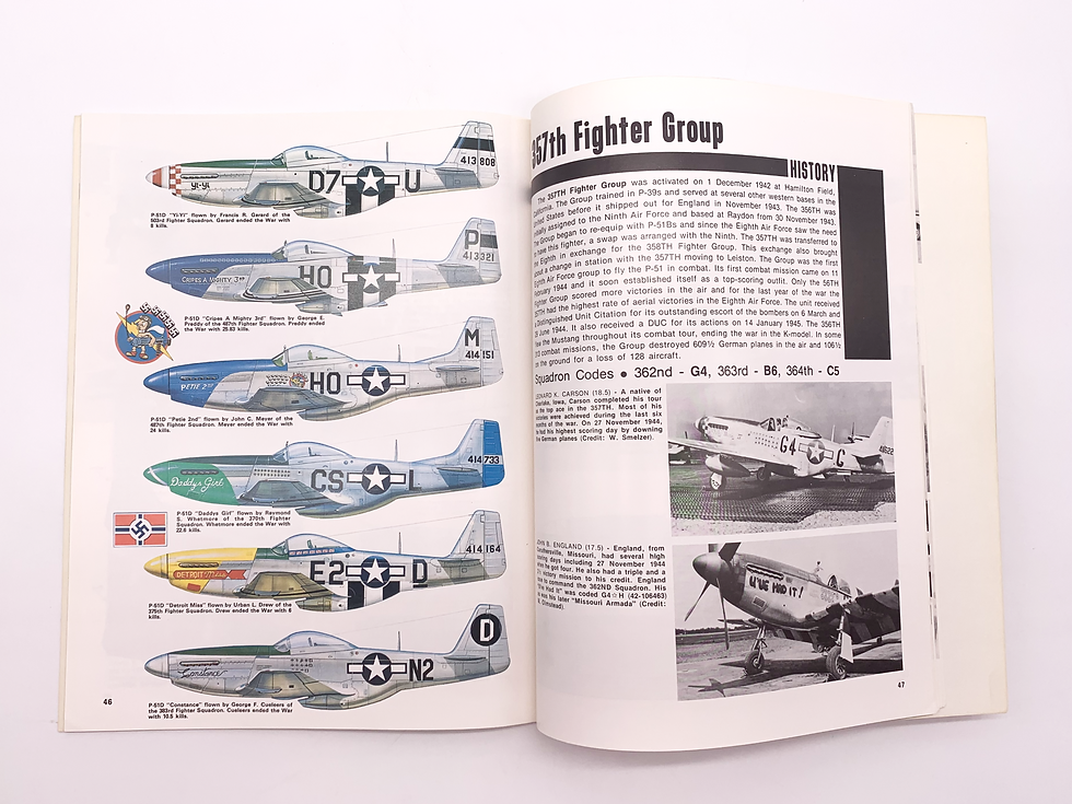 Thumbnail: "Aces of the Eighth", Gene Stafford & William Hess, WWII