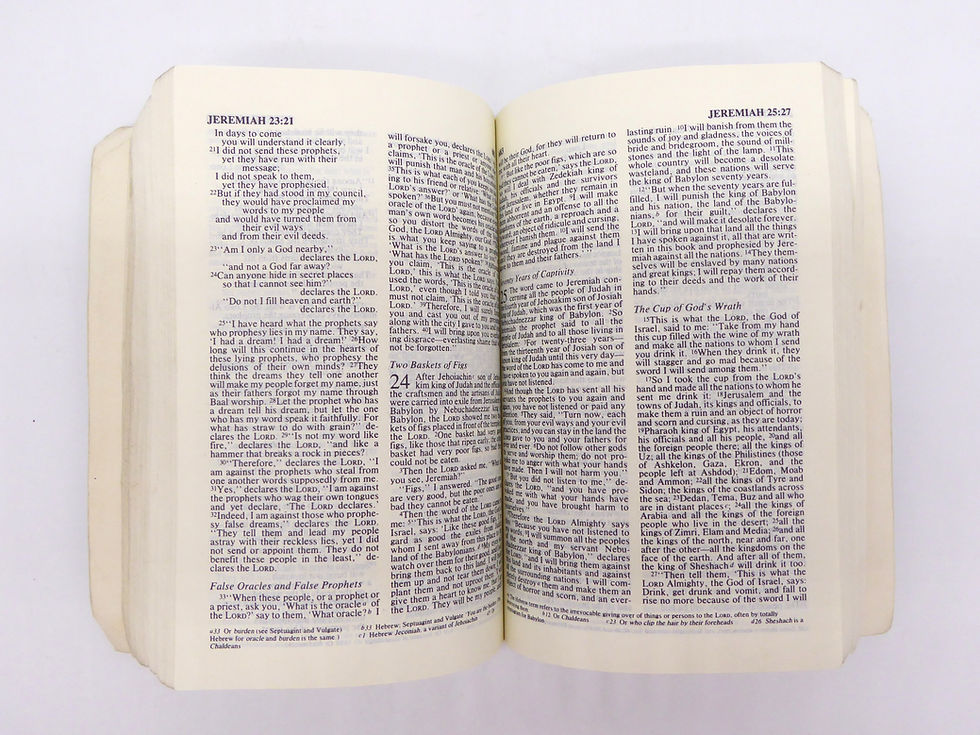 Thumbnail: Bible, Services Edition, Cold War Era