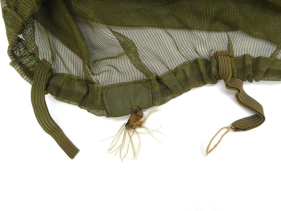 Thumbnail: Helmet Net, Insect, Vietnam