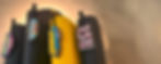 Master Trainers Background