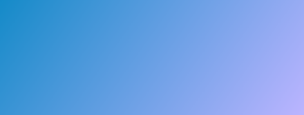 Forget Me Not Child Safety Seat (9).png