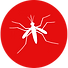 dengue.png