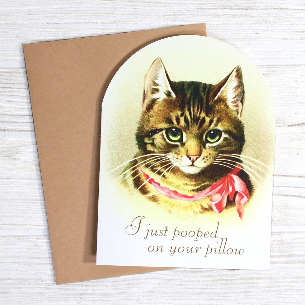 cat pooped on pillow funny greeting card