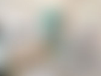 啟翔苑 295呎｜兩房現代風格