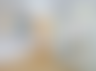 凱德苑 393呎｜兩房古典北歐風格 