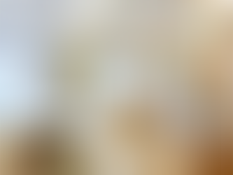 愉德苑 281呎｜一房現代風格