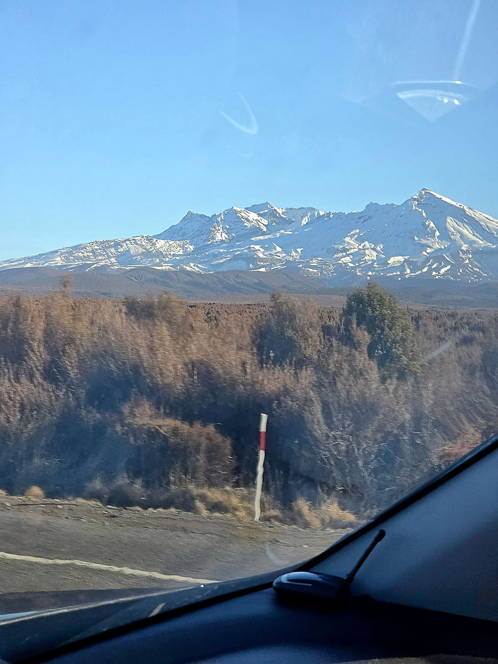 Gorgeous Waiouru views