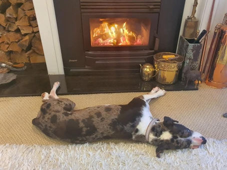 July at A Deer Cottage – Winter Warmth, Whānau, and a Touch of May Gibbs Magic
