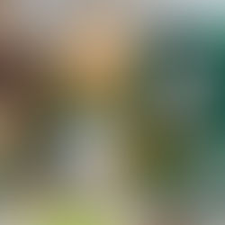 Green Cow Rug Mirror