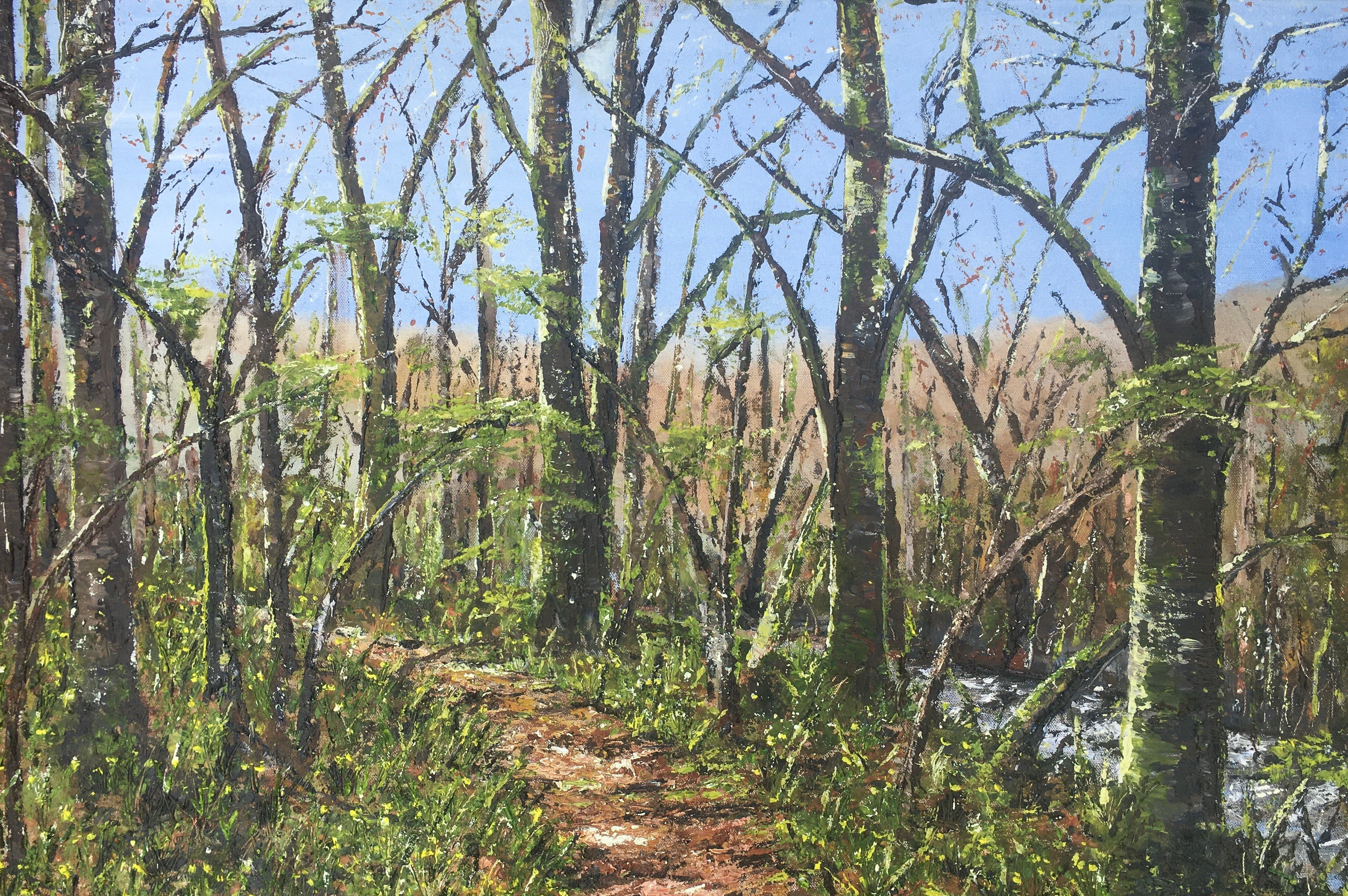 Early Spring, Dunsford Woods