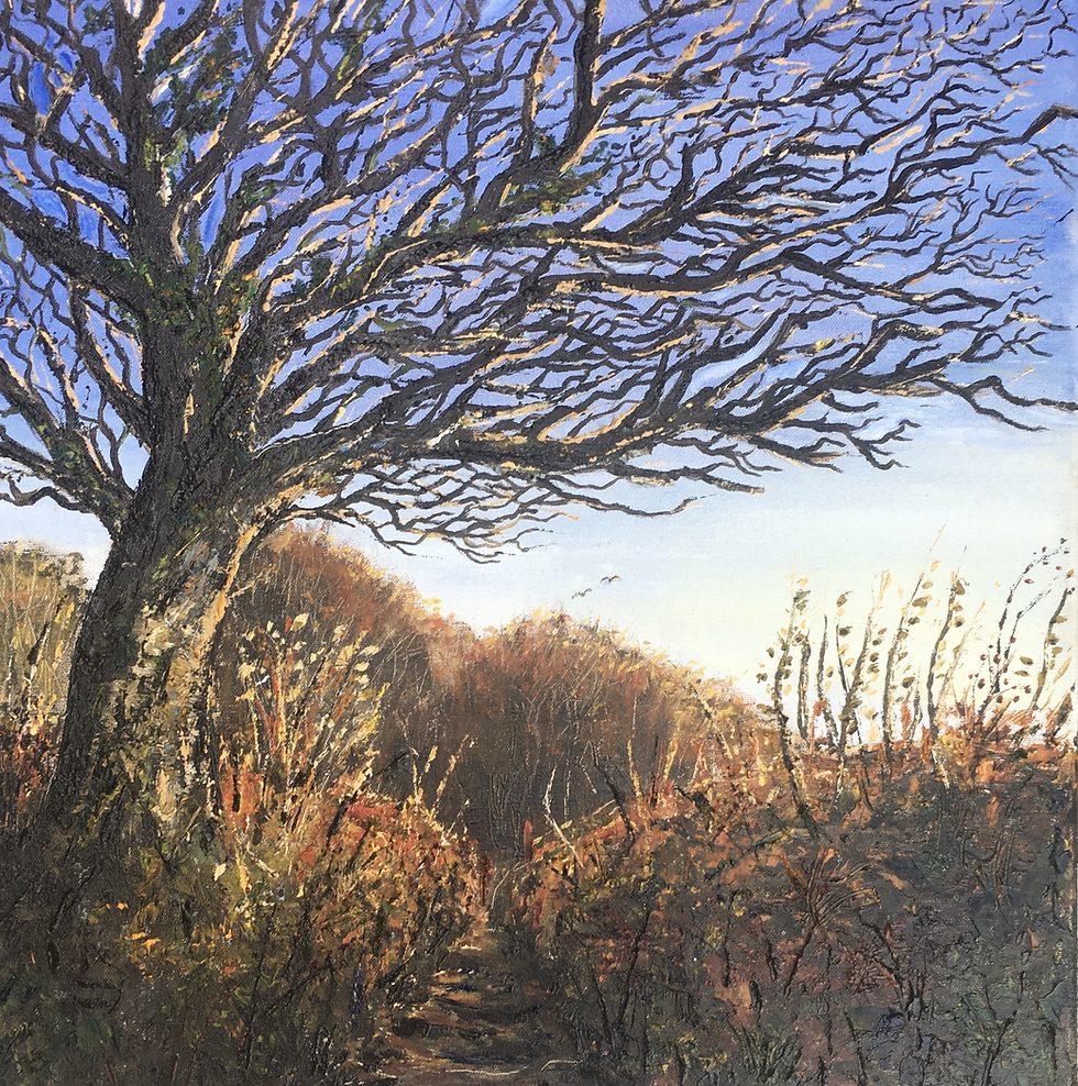 Winter Walk, Dartmoor