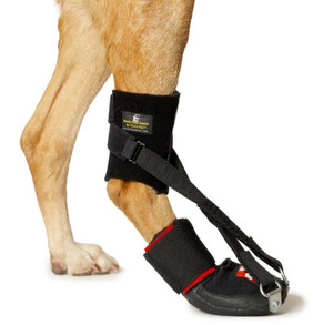 Thera-Paw Standard Hindlimb Dorsi-Flex Assist for Dogs