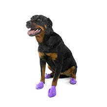 STICKY PAWZ