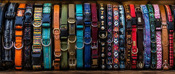 dog collars.png