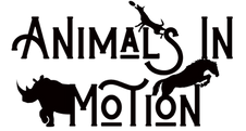 AIM.Logo.Black.png