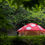 ภาพขนาดย่อ: DOD MINI KINOKO TENT RED
