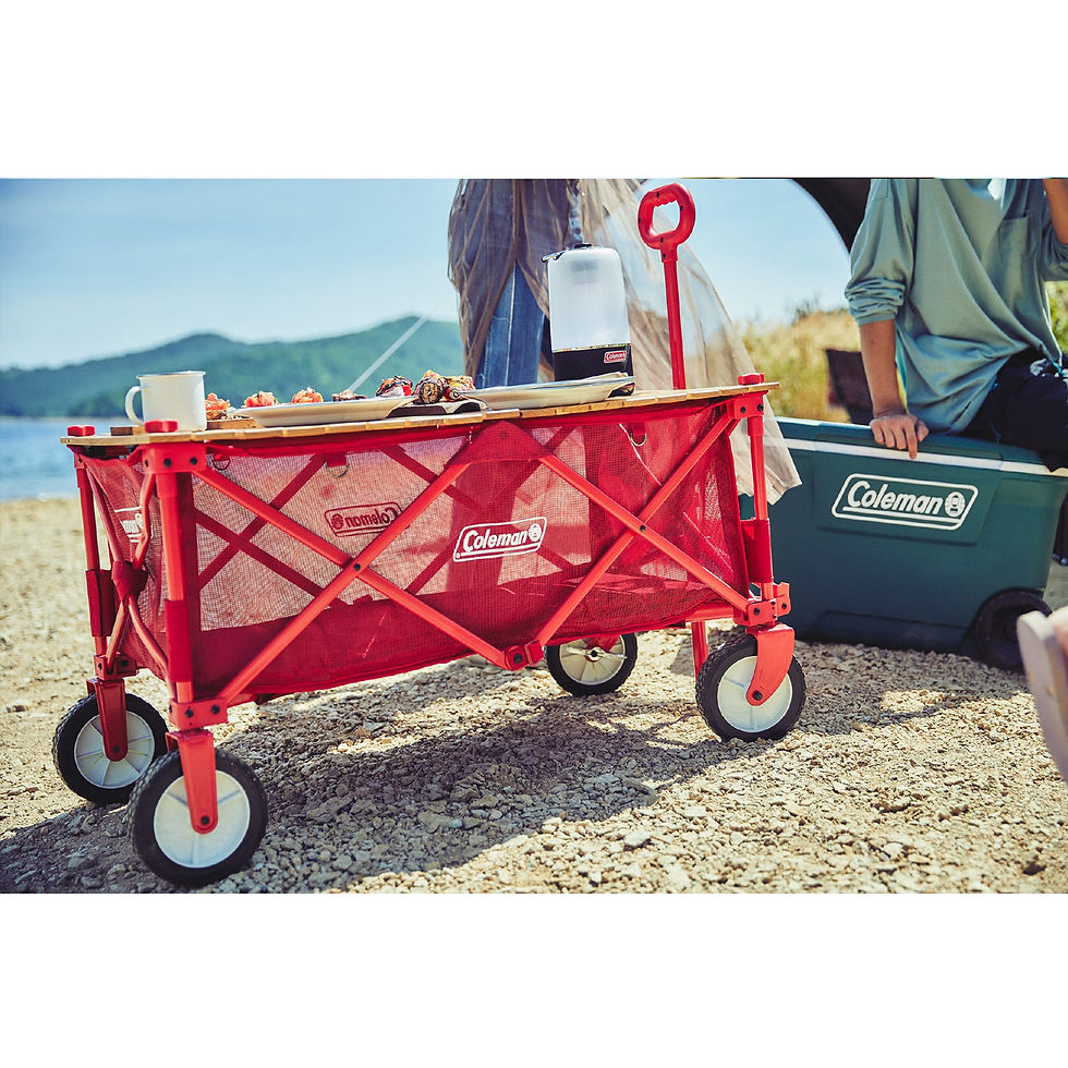 ภาพขนาดย่อ: COLEMAN OUTDOOR WAGON ROLL WOOD TABLE