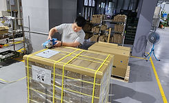 Packaging and logistics: palletized shipping