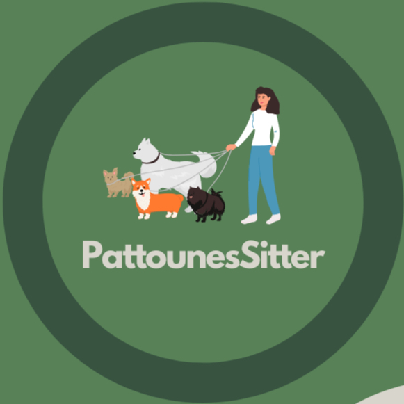 Pattounessitter