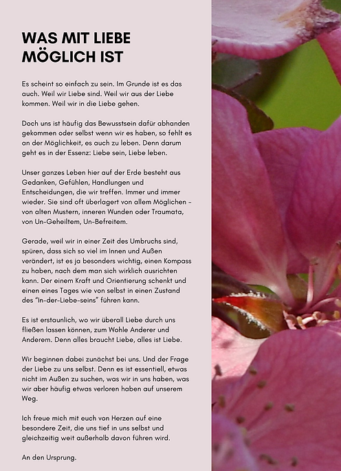 Was mit Liebe möglich ist_26092024_.png