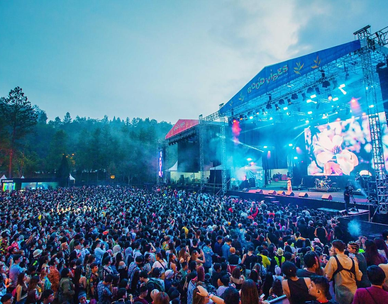 festival_thème.png