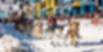 Iditarod Sled Dog Race