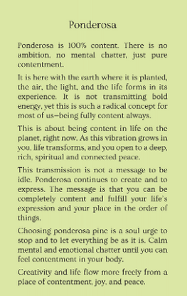 ponderosa.PNG