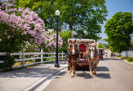 horse drawn carriage