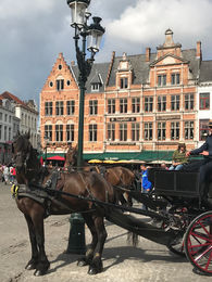 horse and carriage