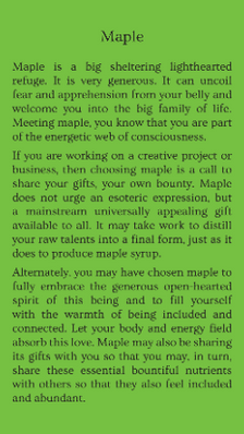 maple.PNG