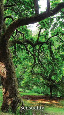 sensuality.png