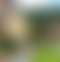 48 Hours in The Cotswolds of England