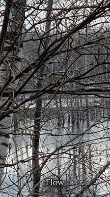 flow.png