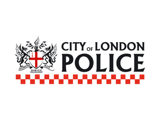 Project Partner Challenge: Evaluating Fraud and Cyber Crime Behaviour Change Campaigns