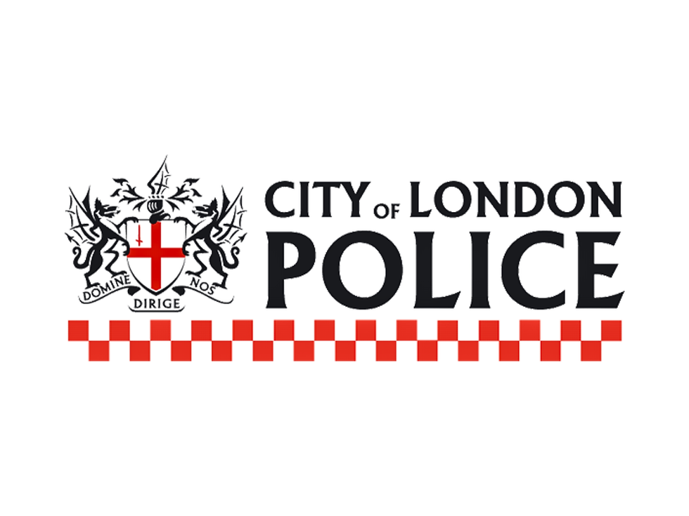 Project Partner Challenge: Evaluating Fraud and Cyber Crime Behaviour Change Campaigns