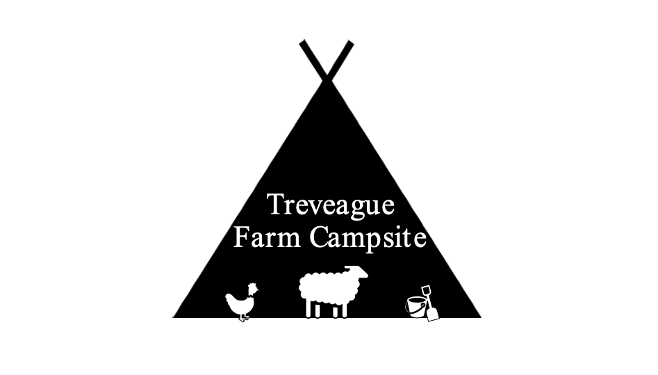 Treveague Farm Campsite — photo 2
