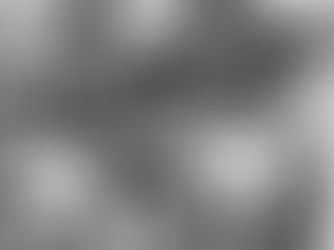 L’aviron tricolore et les Jeux Olympiques !