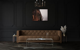 black room with brown sofa and photo frame of a horse head