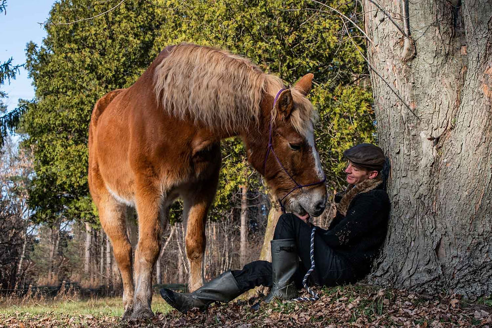Mann sitzt gegen Baum und spricht mit Pferd horse photography