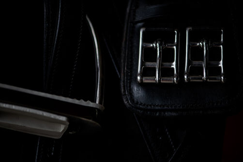 close-up of a stirrup