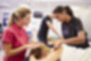 Teacher Helping Student Training To Beco