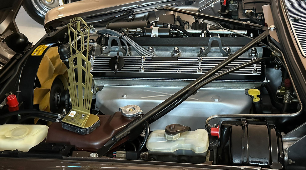 detailing motor