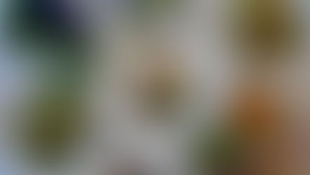 #88 / 5 vegan dressings for delicious salads / 美味しいサラダのための、5つのヴィーガンドレッシング