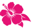 WP'-high res- white.png
