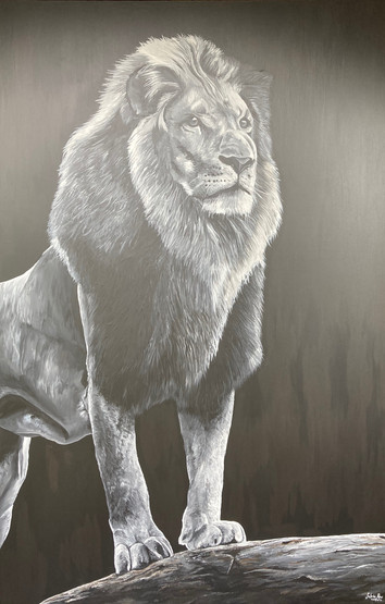 Lion, 170cmx112cm