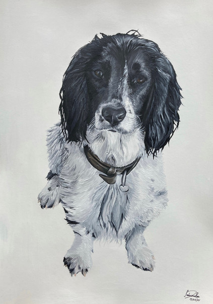 "Theo" A3