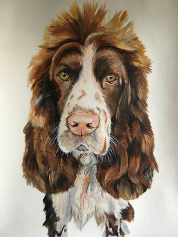 "Percy" A3