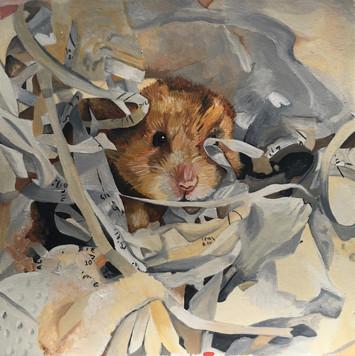 "Aslan" 23x23cm